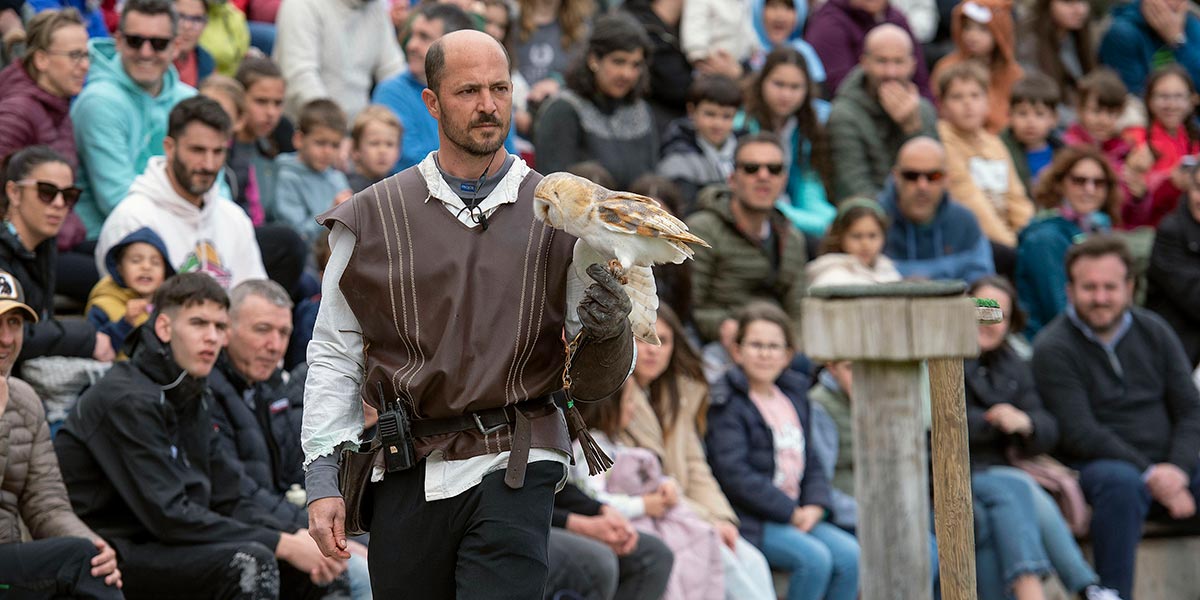 Exhibición de Rapaces en Senda Viva