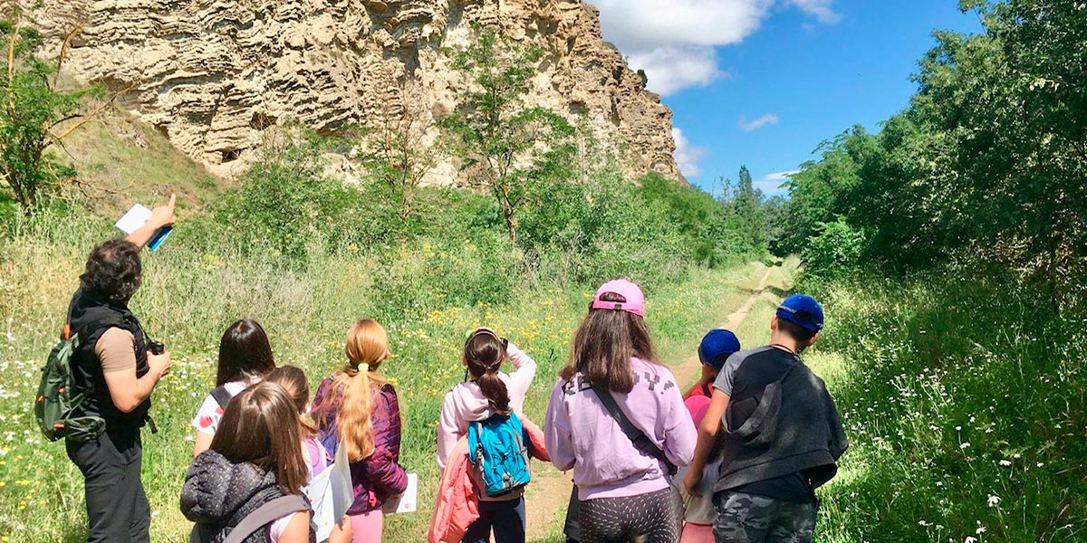 Taller de ornitología en Peralta 4