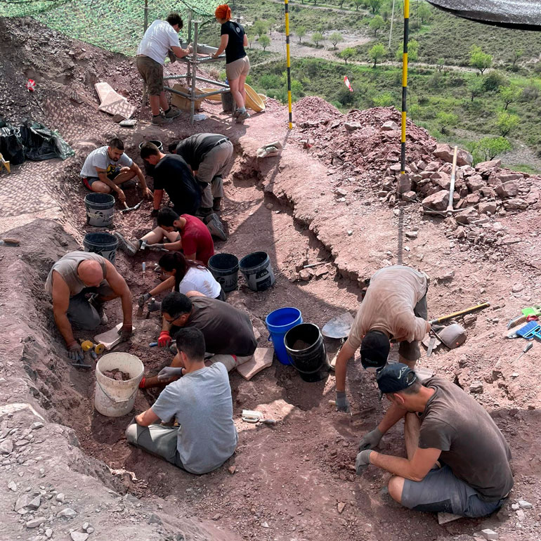 Comienza la nueva y prometedora campaña de excavación paleontológica en Igea 1