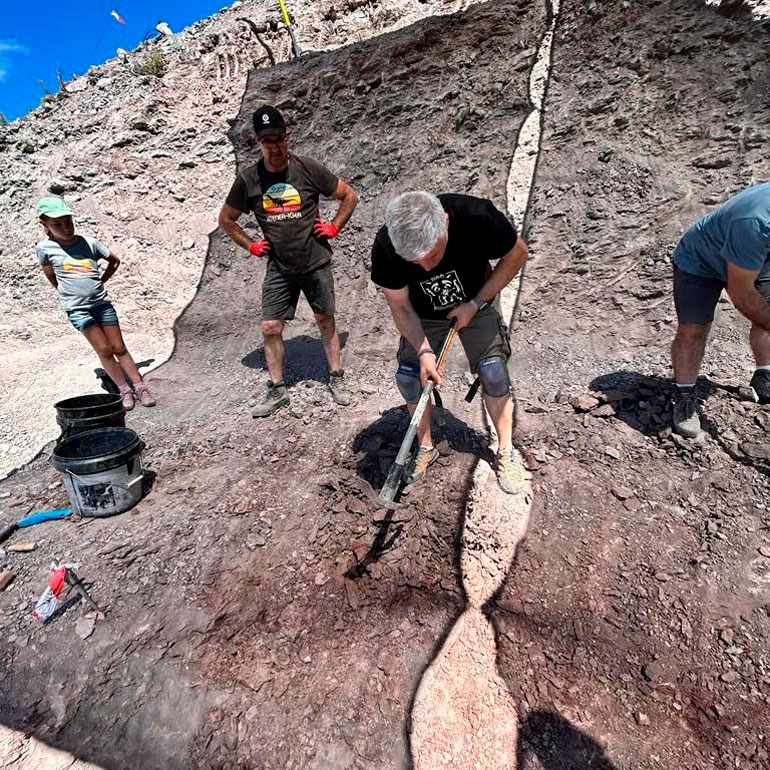 Comienza la nueva y prometedora campaña de excavación paleontológica en Igea 5