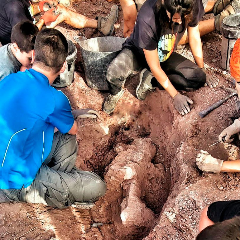 Comienza la nueva y prometedora campaña de excavación paleontológica en Igea 7