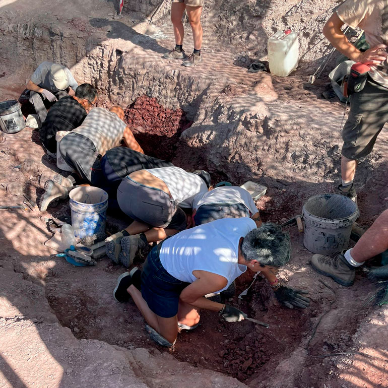 Comienza la nueva y prometedora campaña de excavación paleontológica en Igea 9