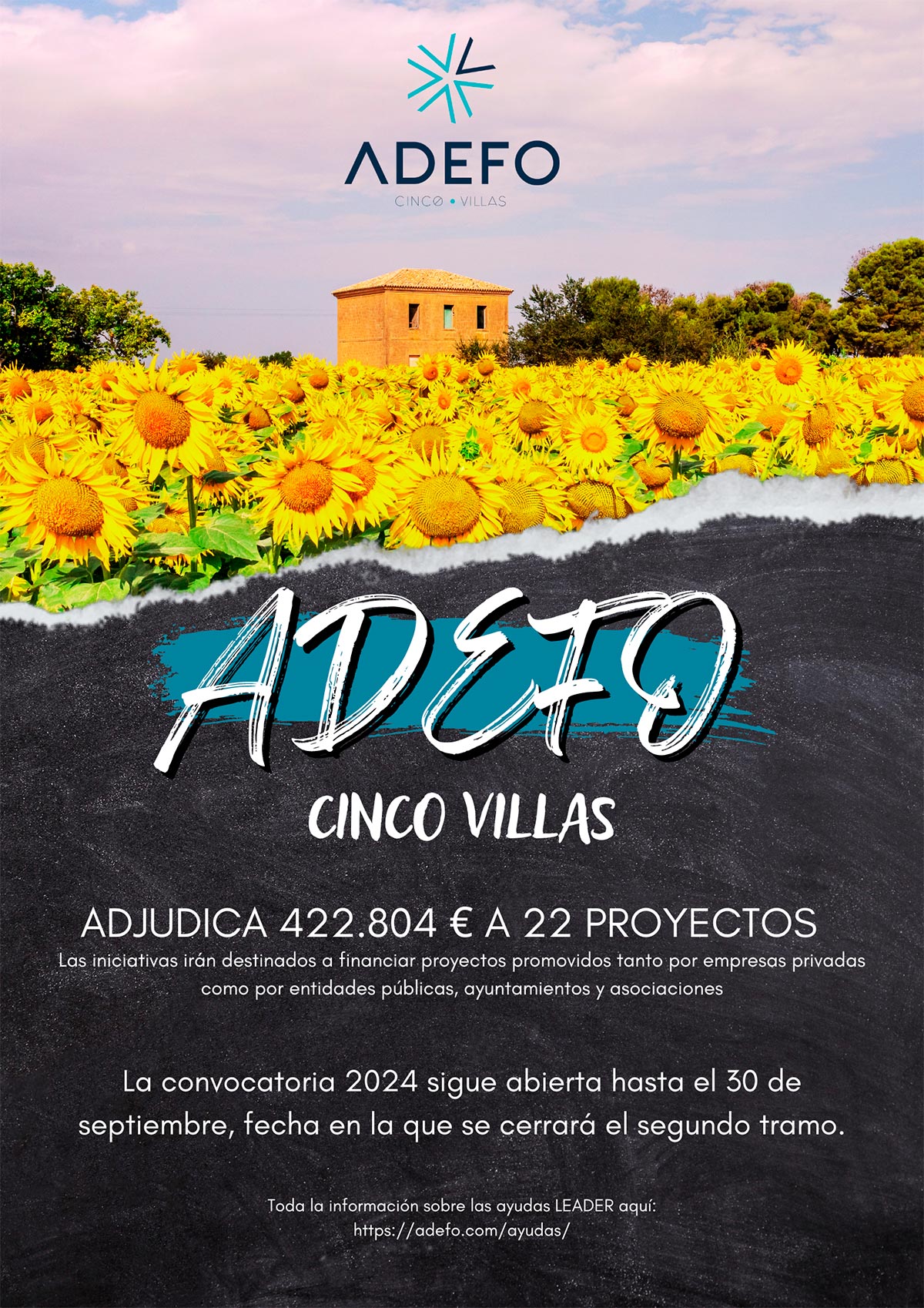 Cartel de ADEFO Cinco Villas