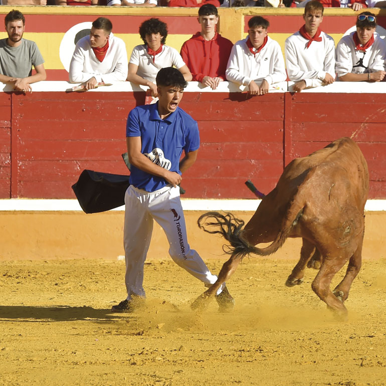 El joven Pablo Saso Fornies es muy conocido en Tudela por sus espectaculares recortes