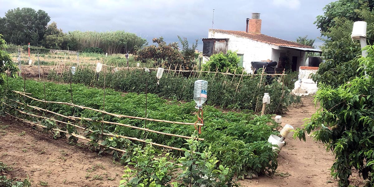 Campo de Luis Virto García