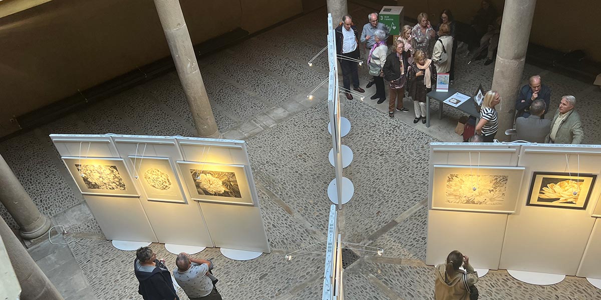 La tudelana Nuria Martínez convierte el patio de UNED Tudela en un jardín repleto de flores 6