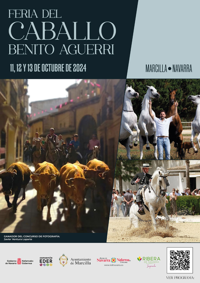 Feria del Caballo ‘Benito Aguerri’ 2024 en Marcilla 1