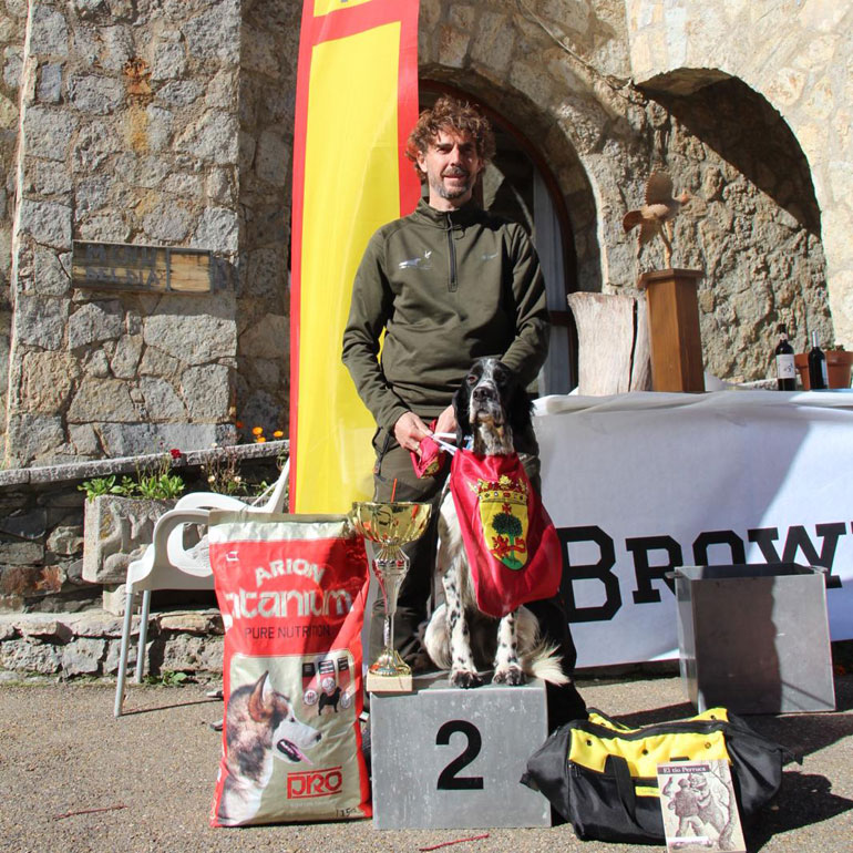 El setter Gold, orgullo cirbonero