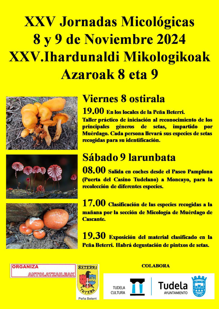 XXV Jornadas micológicas de la Peña Beterri