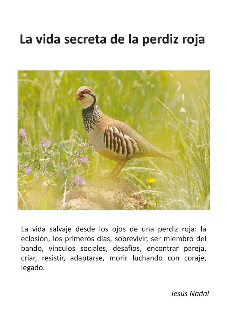 Portada del libro de Jesús Nadal