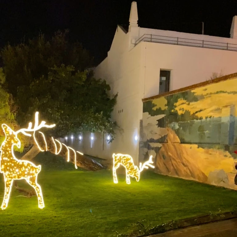 Navidad en la sede de Bardenas Reales 2