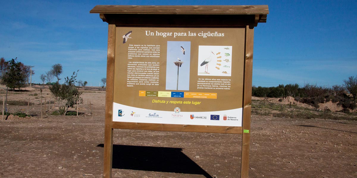 Cigüeña 2