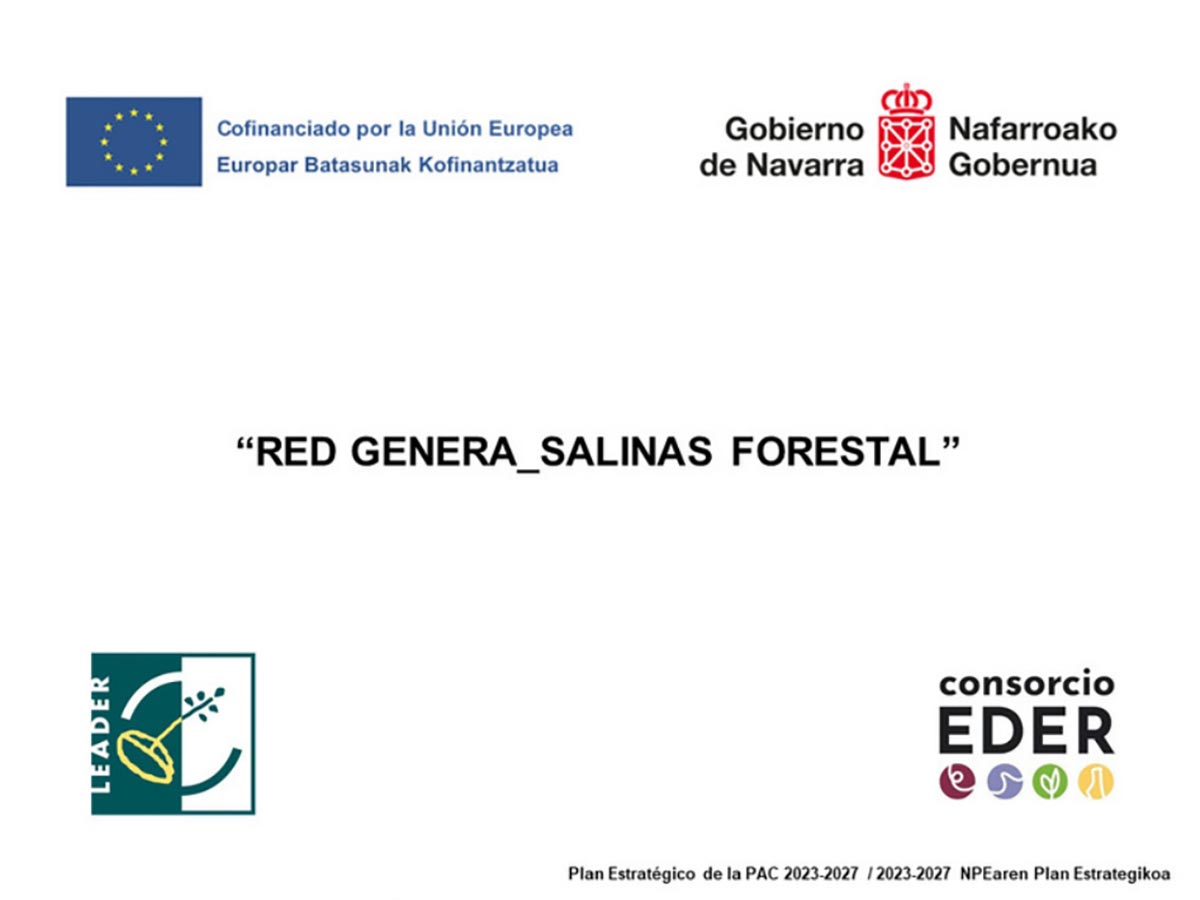 Logos FORESNA