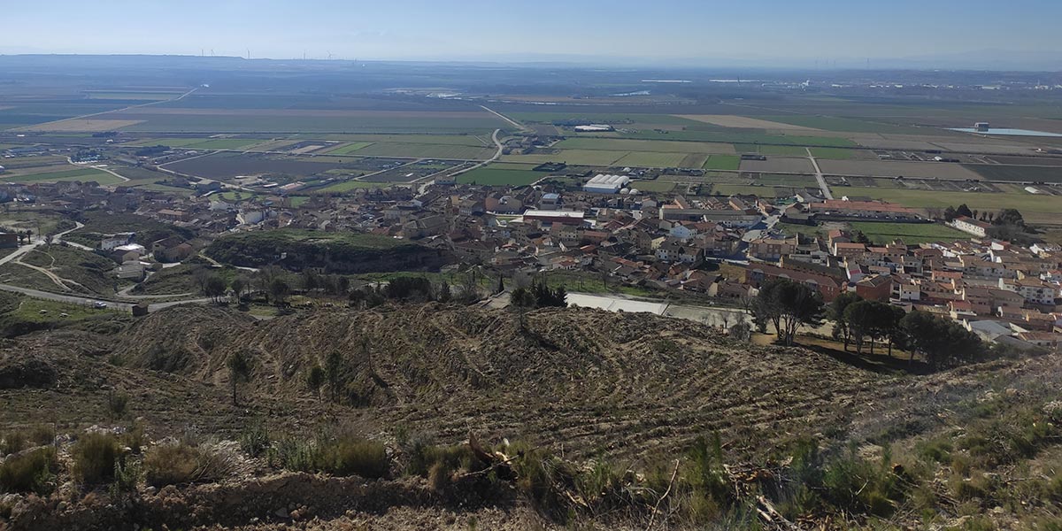 Finalización de las actuaciones forestales en Valtierra 3