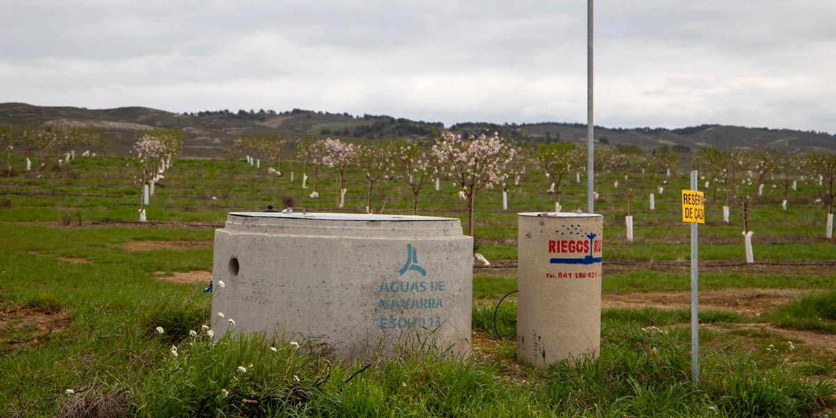 Visita a Sesma realizada recientemente por los vecinos de Corella 2