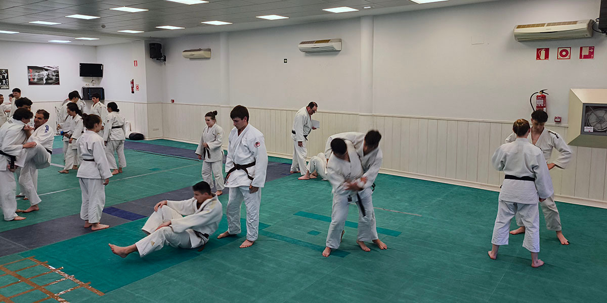 Shogun momento clase 2