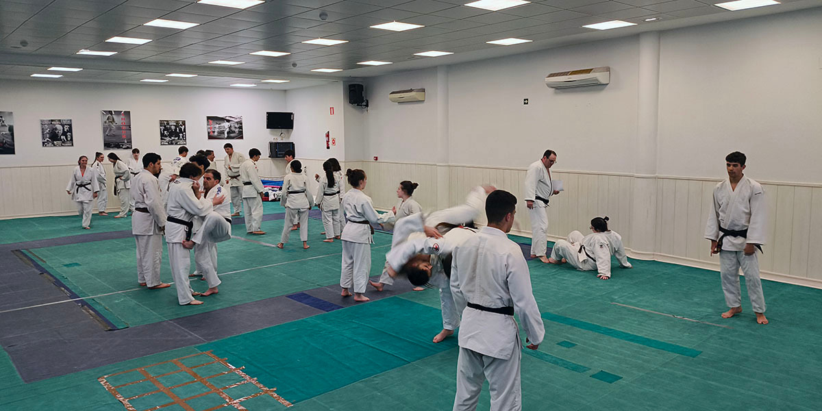 Shogun momento clase 1