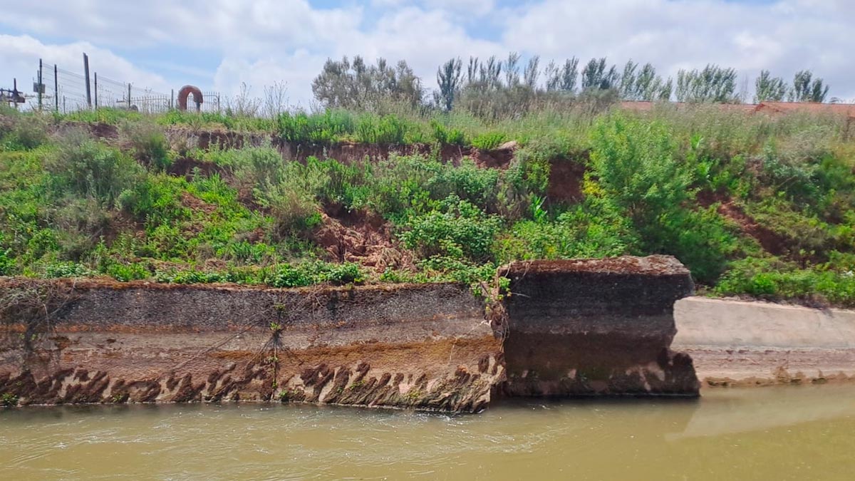 Canal de lodosa