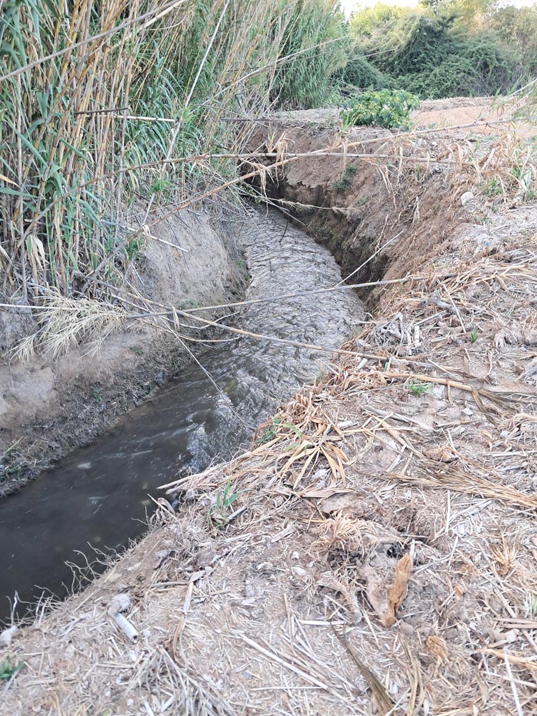 El río Queiles a su paso por Cascante