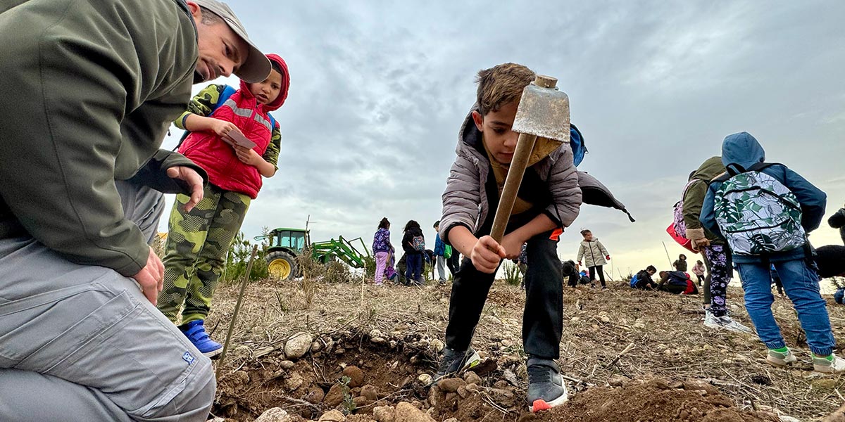 Plantación de 1.000 árboles en Sendaviva 1