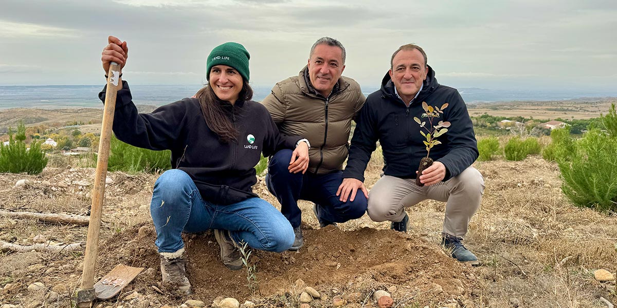 Plantación de 1.000 árboles en Sendaviva 3