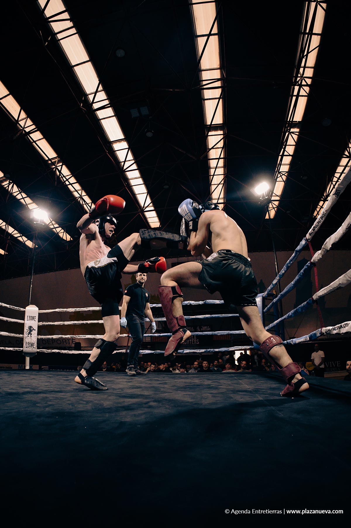Tudela Fighters 2026 2