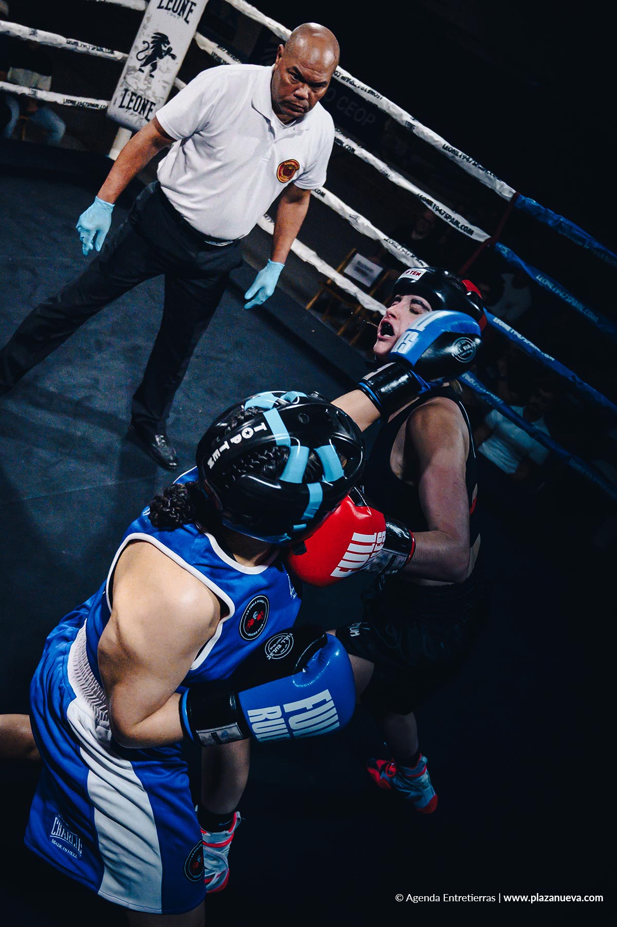 Tudela Fighters 2026 5