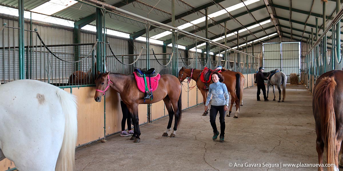 Instalaciones del centro ecuestre Campo Alegre en Novallas, con el establo donde se cuida y prepara a los caballos para las actividades y campamentos