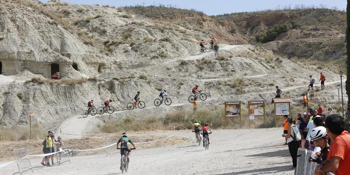 III Trofeo BTT Villa de Arguedas 2026 6
